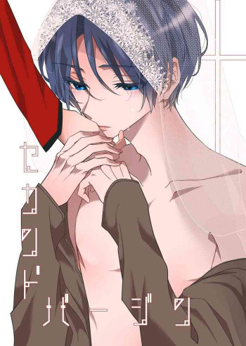 セカンドバージンの表紙画像