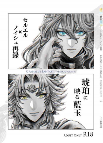 琥珀に映る藍玉 セルエル×ノイシュ再録の表紙画像