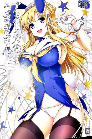 アメリカのうさぎさんの表紙画像