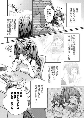 ツンデレ妹淫棒改造計画の表紙画像