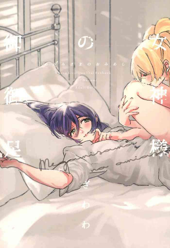 女神様の御御足の表紙画像