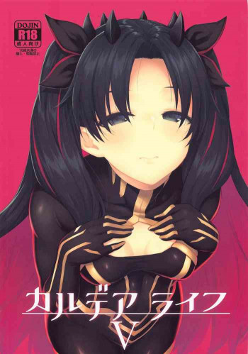 カルデアライフVの表紙画像