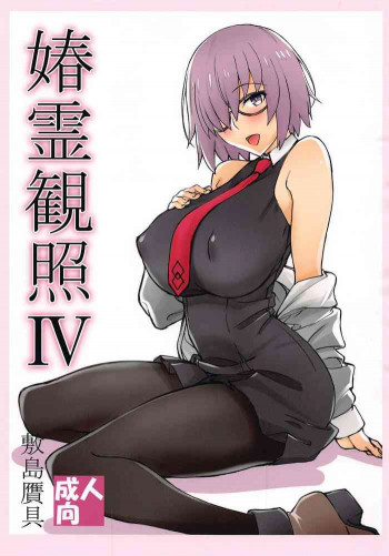 媋霊観照IVの表紙画像