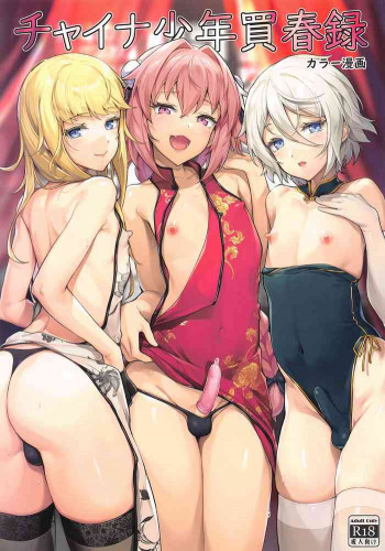 チャイナ少年買春録の表紙画像