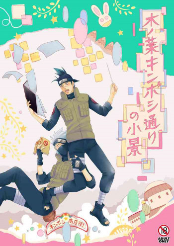 木ノ葉キンボシ通りの小景の表紙画像