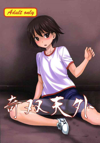 奇双天外の表紙画像