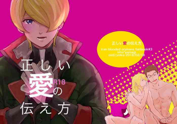 正しい愛の伝え方の表紙画像