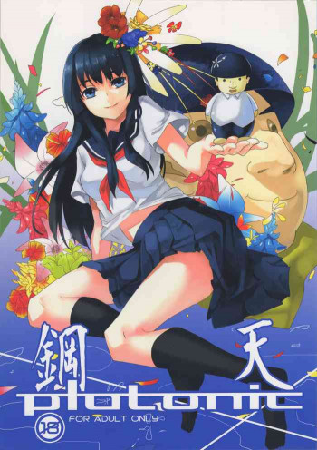 鋼天platonicの表紙画像