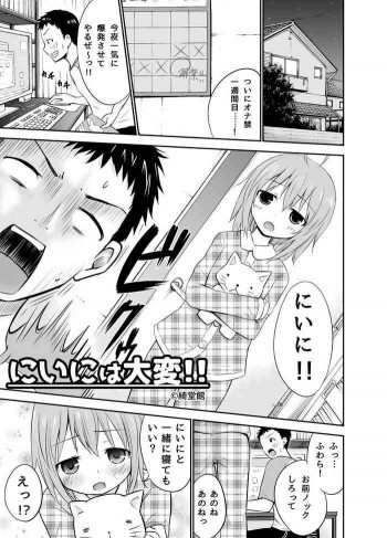 にいには大変!! [DL版]の表紙画像