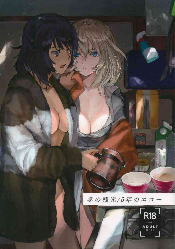 冬の残光/5年のエコーの表紙画像