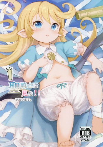 聖騎士は見た!!…でありますの表紙画像