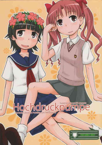 Hochdruckpumpeの表紙画像