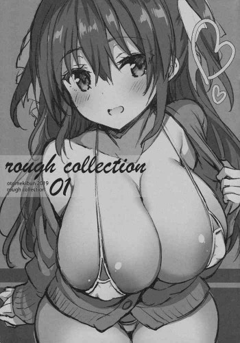 Rough Collection 01の表紙画像