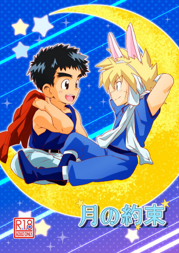 月の約束の表紙画像
