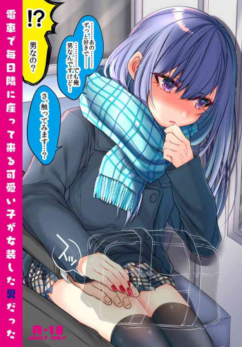 電車で毎日隣に座って来る可愛い子が女装した男だった [DL版]の表紙画像
