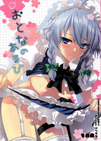 おとなのあそびの表紙画像