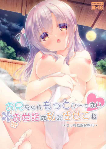 お兄ちゃんもっとい～っぱいお世話は私に任せてね～えっちな温泉旅行～の表紙画像