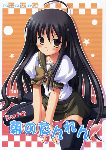 シャナの朝のたんれんの表紙画像
