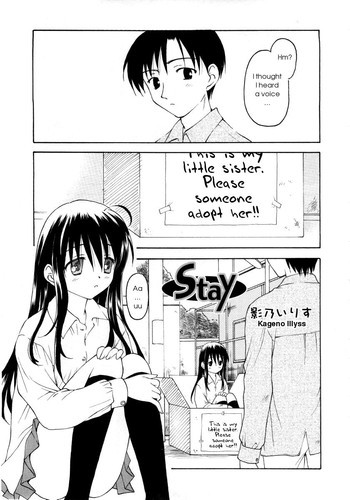 Stayの表紙画像