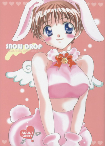 SNOW DROPの表紙画像