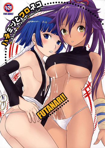ハチミツとクロネコの表紙画像