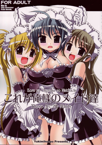 これが俺様のメイド達の表紙画像