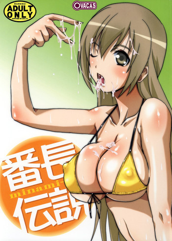 番長伝説の表紙画像