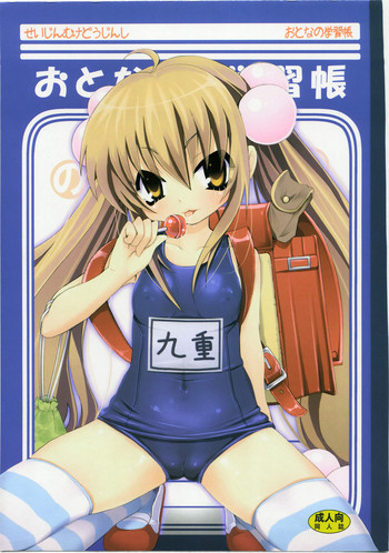 おとなの学習帳の表紙画像