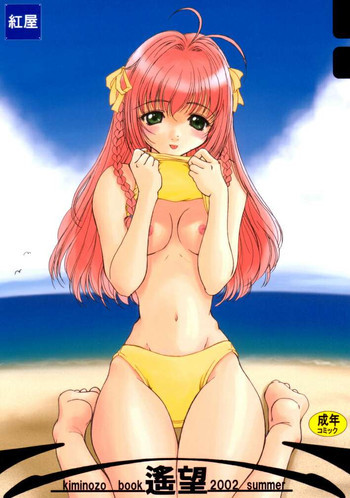 遙望 -Kiminozo Book 2002 Summer-の表紙画像