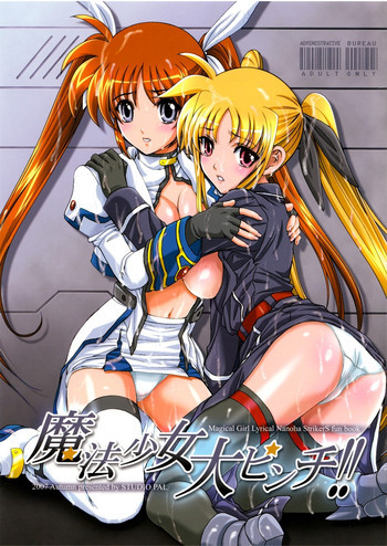 魔法少女大ピンチ!!の表紙画像