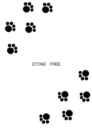 STONE FREEの表紙画像