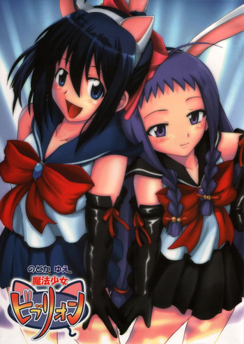 のどかとゆえの魔法少女ビブリオンの表紙画像