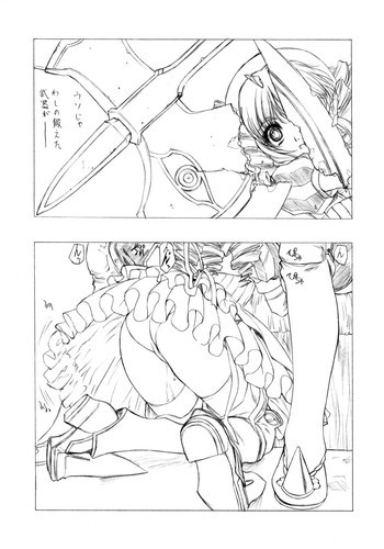 クイーンズブレイド本の表紙画像