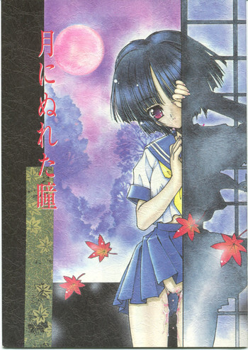 月にぬれた瞳の表紙画像