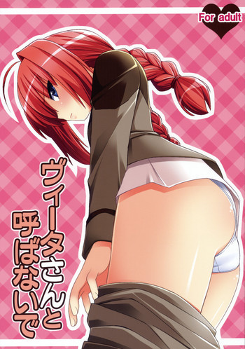 ヴィータさんと呼ばないでの表紙画像