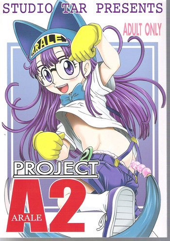 PROJECT ARALE 2の表紙画像