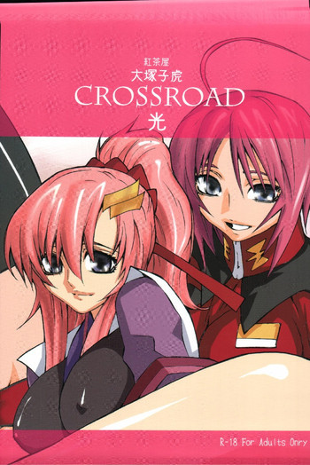 crossroad 光の表紙画像