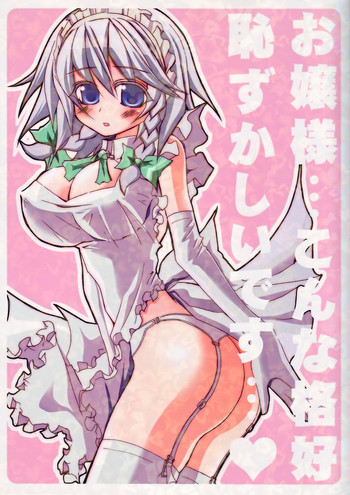 お嬢様…こんな格好恥ずかしいです…の表紙画像