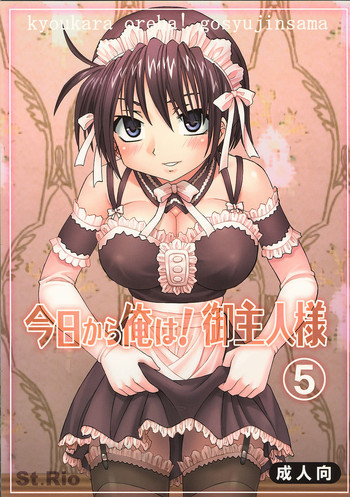 今日から俺は！御主人様5の表紙画像