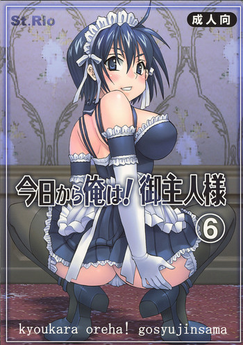 今日から俺は！御主人様6の表紙画像
