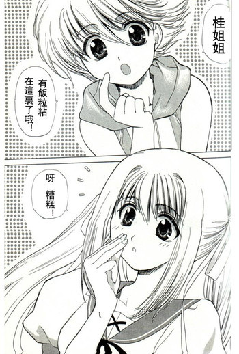 温柔的欺骗の表紙画像