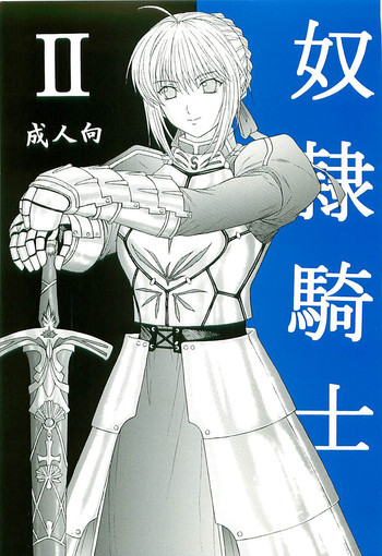 奴隷騎士 IIの表紙画像