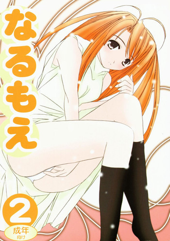 なる萌え2の表紙画像