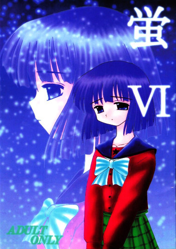 蛍VIの表紙画像