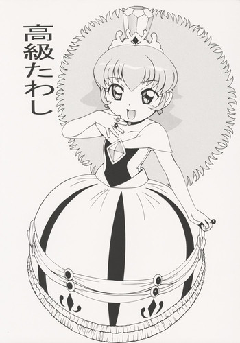 高級たわしの表紙画像