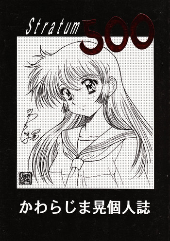 STRATUM 500の表紙画像