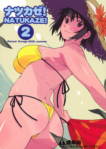 ナツカゼ！NATUKAZE! 2の表紙画像