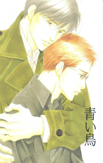 [2003-12-30] [C65] Aoi Toriの表紙画像