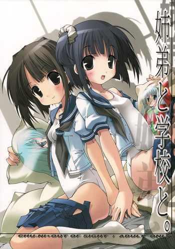 姉弟と学校と。の表紙画像