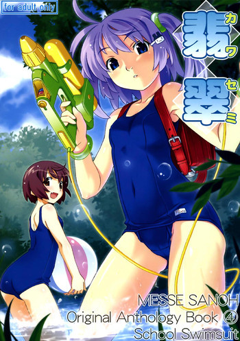 翡翠 ~カワセミ~の表紙画像